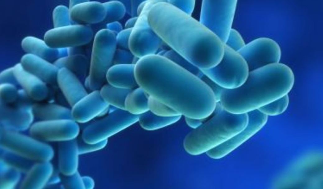 Virus desconocido: qué dicen los primeros resultados de las pruebas del Malbrán | Información General