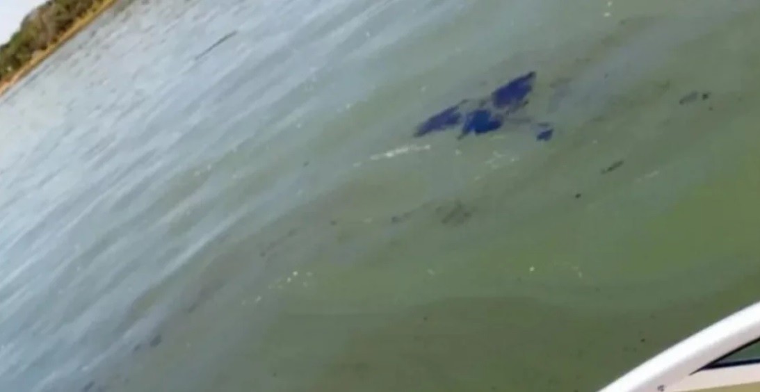 Alarma por una mancha de petróleo en el río Paraná | Información General