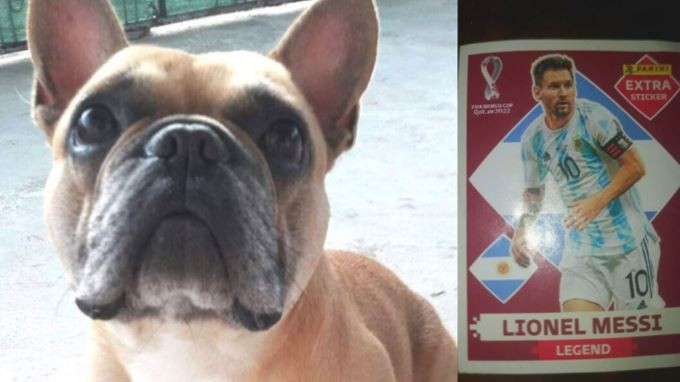 Un niño ofrece su figurita de Lionel Messi para recuperar el perro robado de su amiga | Información General