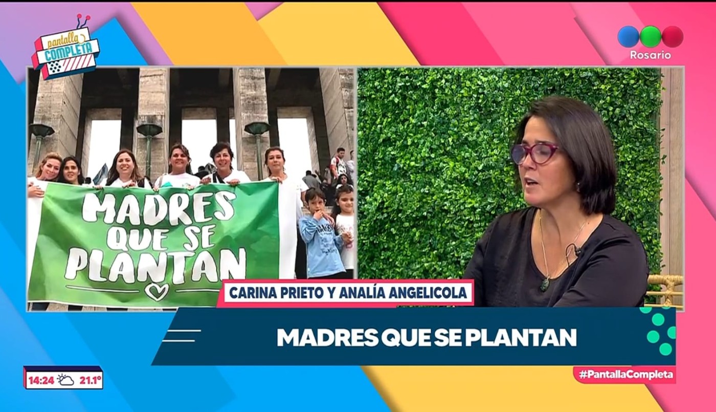 Aceite de cannabis y el uso medicinal para tratar enfermedades | Rosario y la región