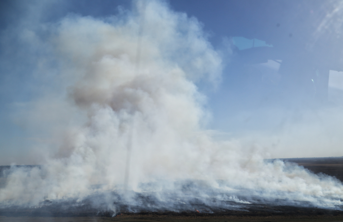 Gonnet y el jefe de las Fuerzas Armadas sobrevolaron la zona de incendios en el Delta | Información General