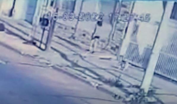 Campana: una mujer salió a pasear el perro y apareció descuartizada y quemada en la casa de su vecino | Información General