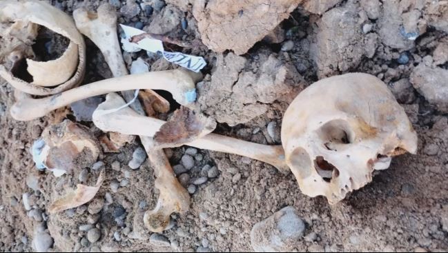 Estudiantes hallaron huesos humanos enterrados en una pensión de La Plata | Información General