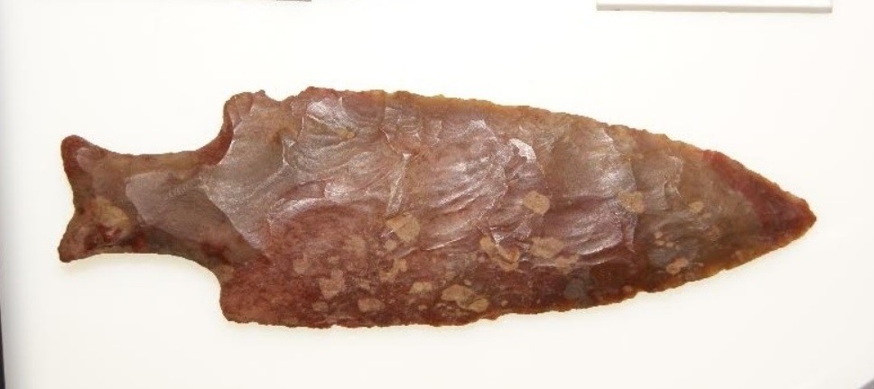 Las armas "cola de pescado" causaron la extinción de la megafauna en Sudamérica | Internacionales