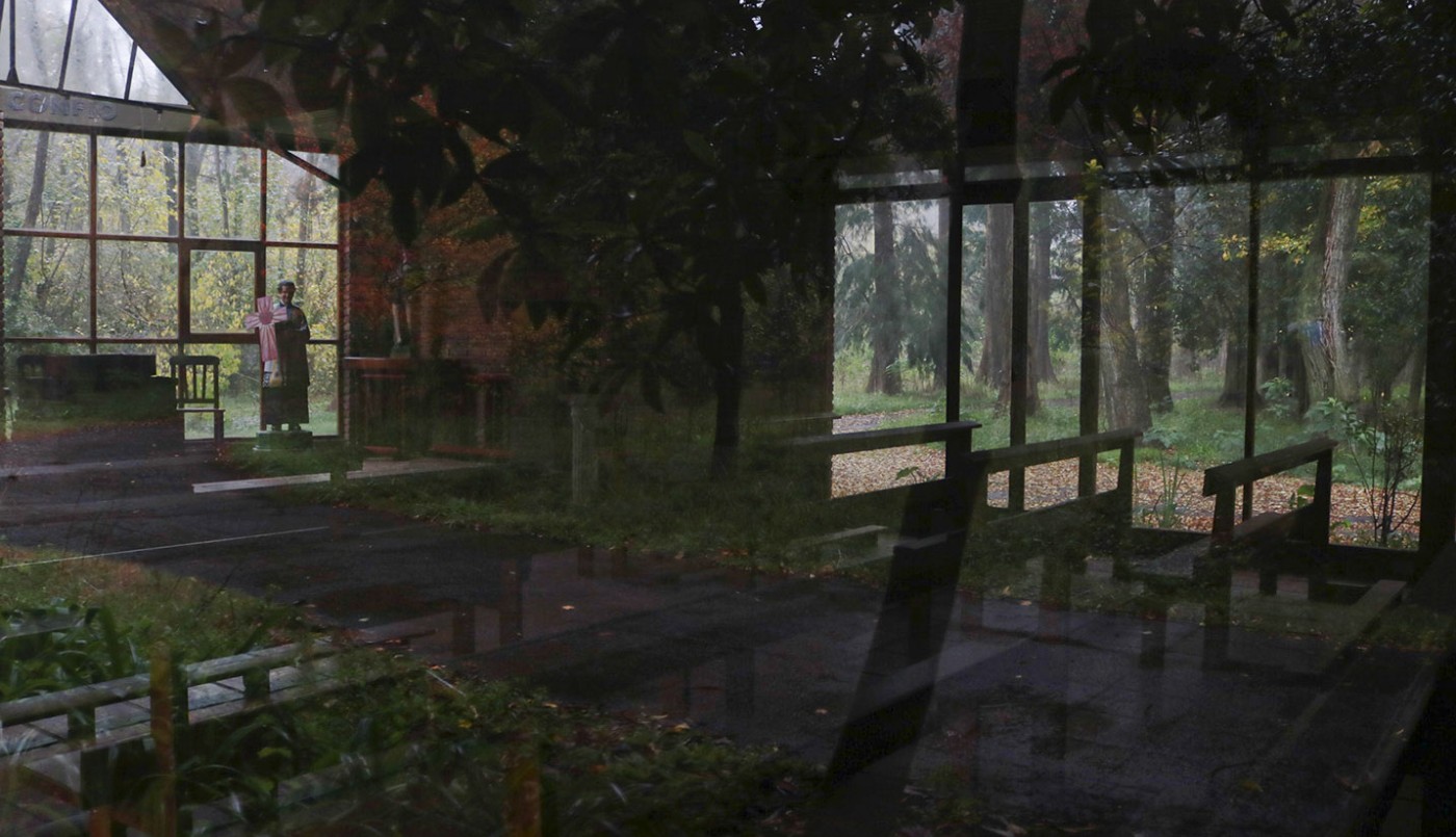 Una fotógrafa retrató los restos de la Fundación Felices los Niños como un "bosque abandonado" | Información General