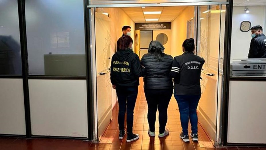 Muerte de bebés: la enfermera detenida buscó en internet cómo dosificar potasio e insulina | Información General