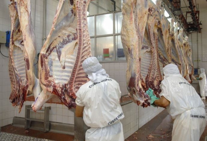 El Gobierno postergó la entrada en vigencia de la comercialización de carne por troceo | Información General