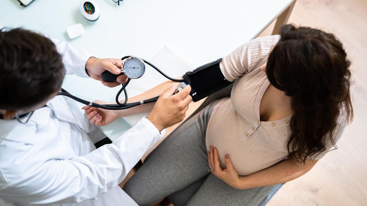 Premiaron en EEUU una investigación argentina que busca tratar la hipertensión en el embarazo | Tecnología