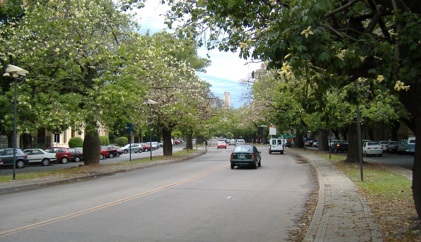 Un motociclista chocó contra un árbol en Avenida Belgrano al 1000: está herido | Rosario y la región