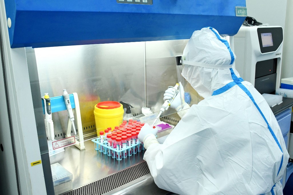 La OMS investiga 25 familias de virus y bacterias que pueden provocar futuras pandemias | Internacionales