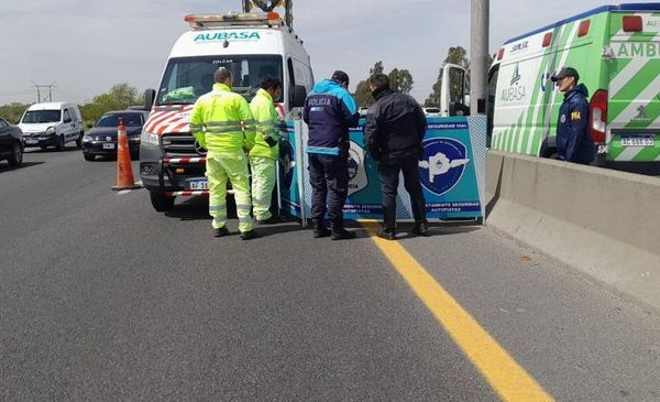 Un hombre y una mujer empezaron a discutir en un auto en la autopista 25 de mayo, se bajaron y murieron atropellados | Información General