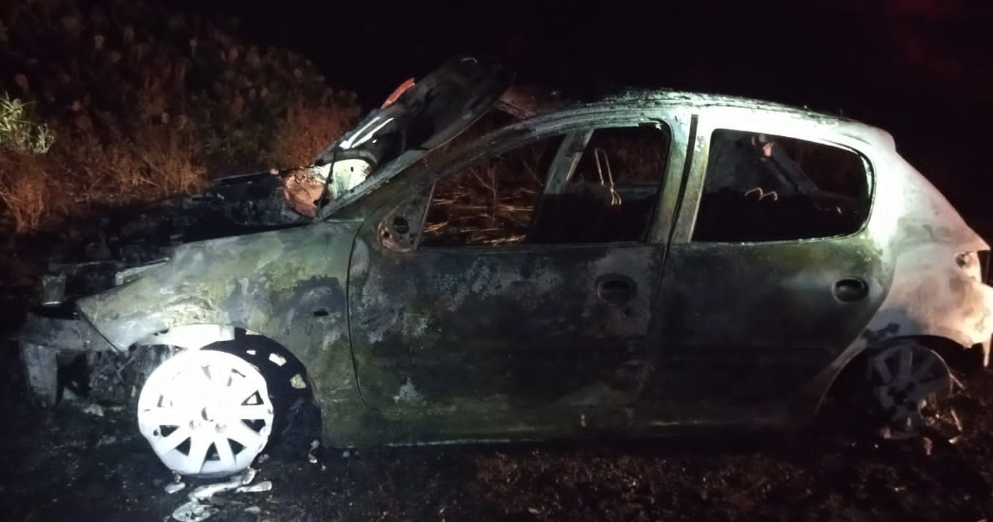 Chau vacaciones: Chocaron un carpincho en la ruta y se les incendió el auto | Información General