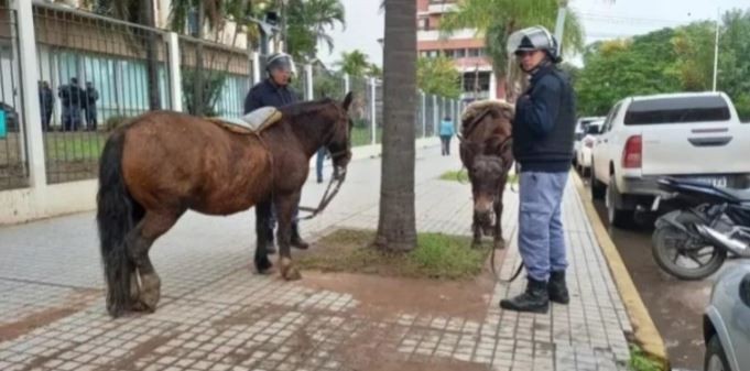 Insólito: un manifestante a caballo quiso entrar a la Casa de Gobierno de Chaco | Información General