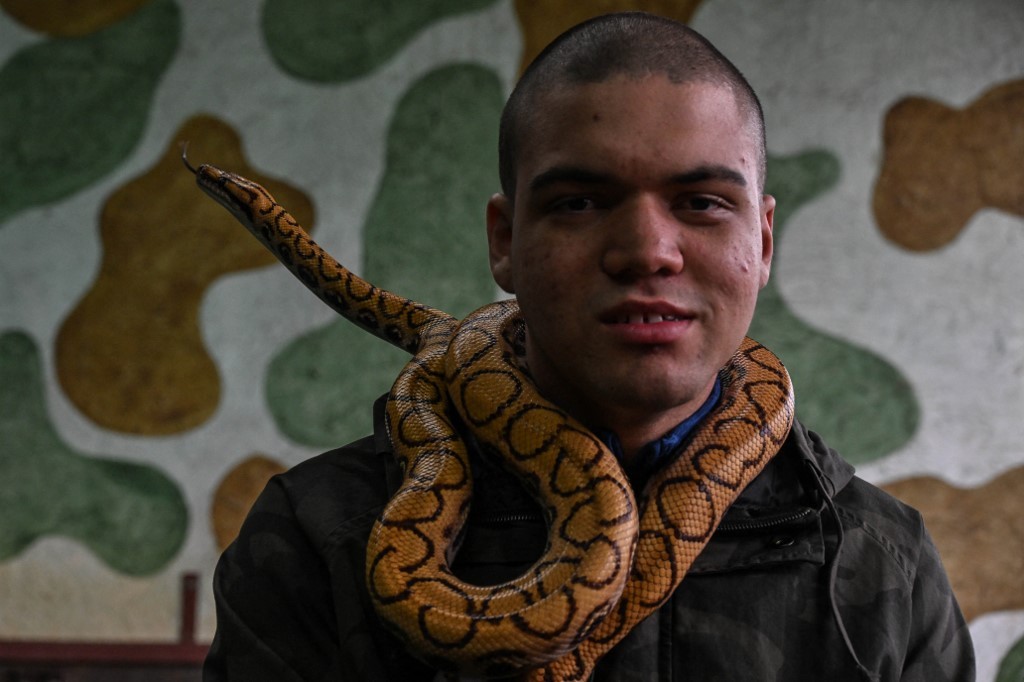 Cómo es la terapia con serpientes: "Dan sensación de placer y bienestar" | Información General