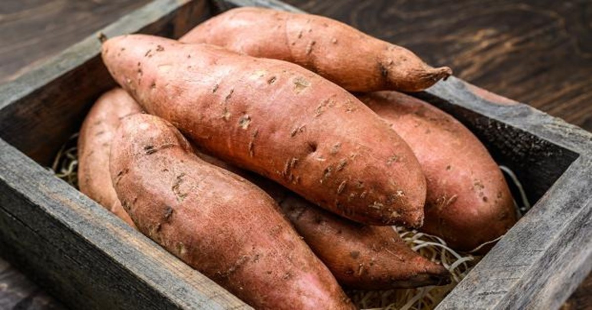 Reina batata: aumentó 450% en el último año | Política y Economía