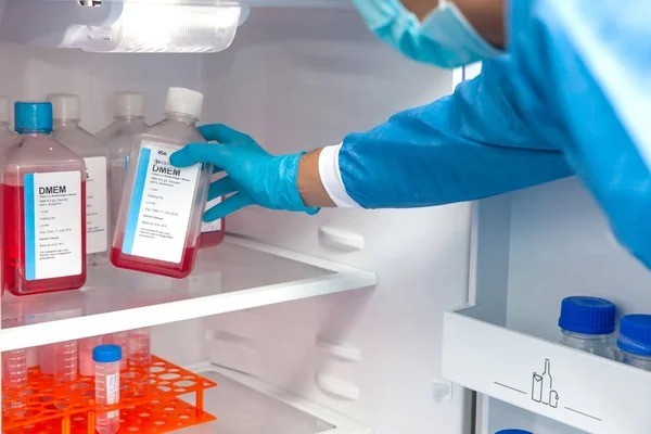 Un empleado de limpieza desenchufó un freezer y arruinó 20 años de investigación científica | Internacionales