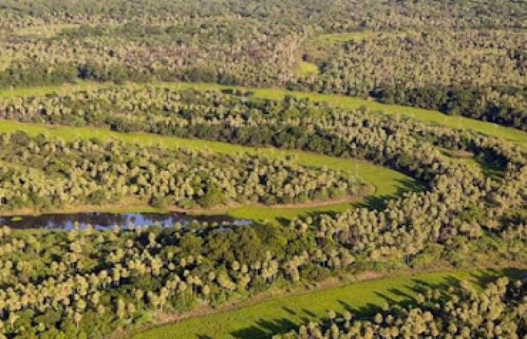 Femicidio de Cecilia Strzyzowski: hallaron más restos óseos cerca del campo de la familia Sena | Información General