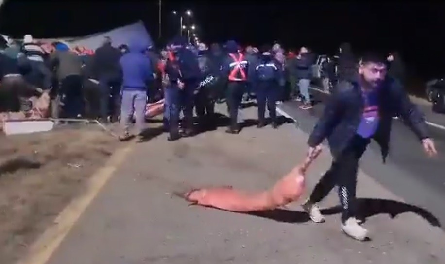 Video: vecinos saquearon un camión que volcó con 23.000 kilos de carne | Información General