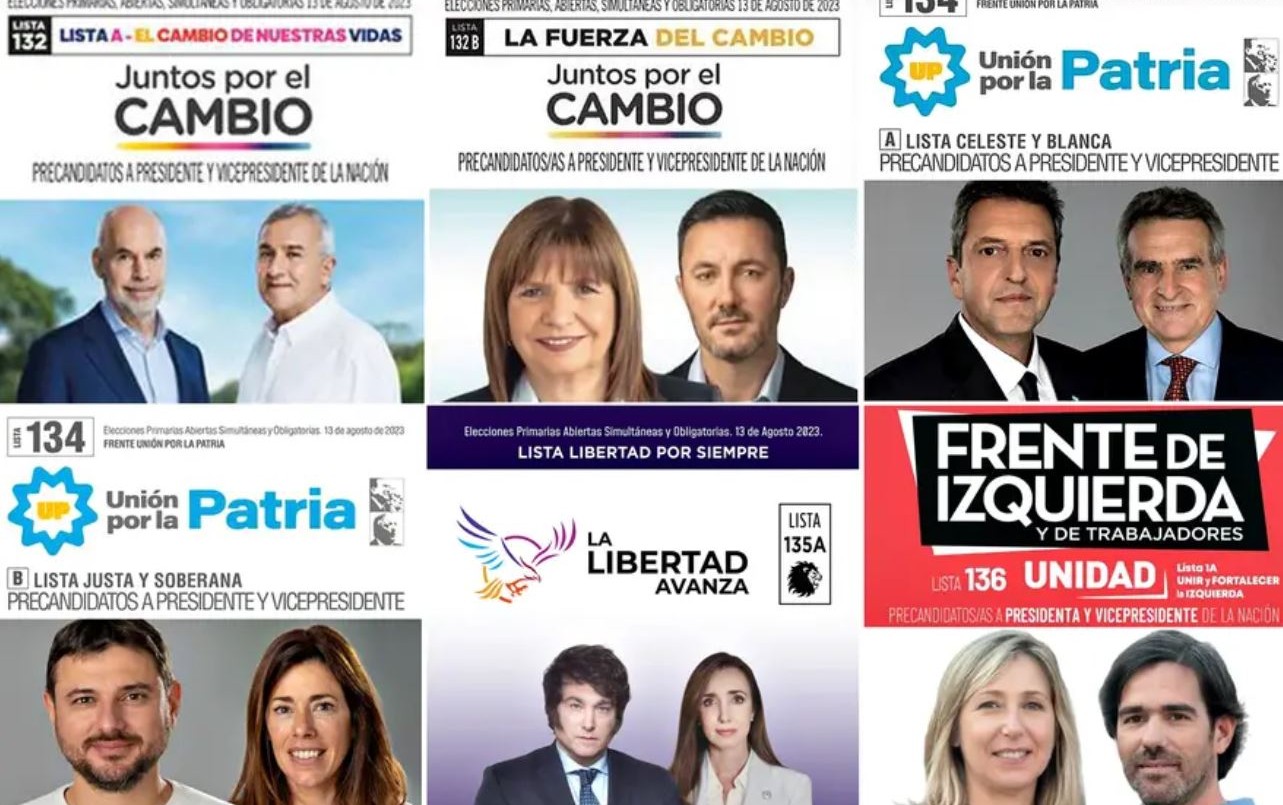 Nueve precandidatos presidenciales pueden quedar inhabilitados de las PASO | Política y Economía
