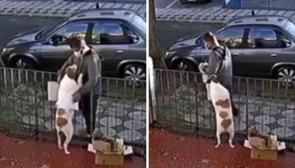 Insólito video: le robaron el suéter a un perro | Información General