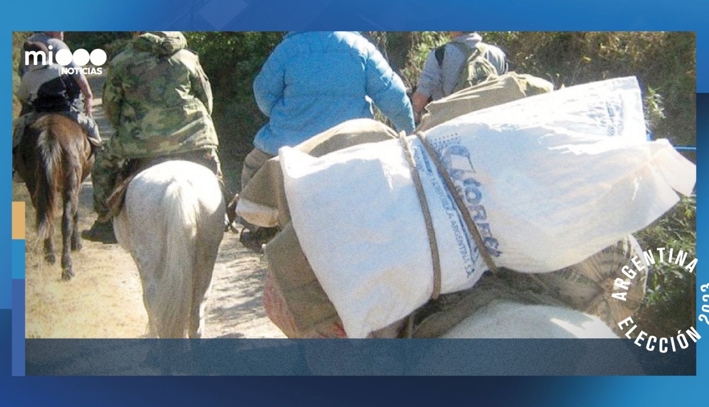Desde mulas hasta aviones para que las urnas lleguen desde La Quiaca hasta la Antártida | Política y Economía