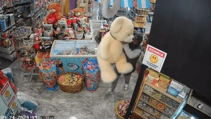 El último romántico: entró a robar, se llevó un oso de peluche gigante y quedó filmado | Información General