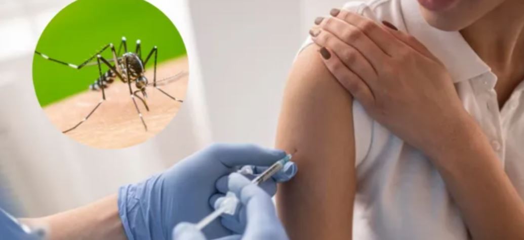 Dengue: cuándo llegará a la Argentina la vacuna japonesa | Información General