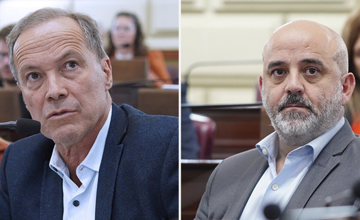 El Tribunal Electoral rechazó el planteo de Palo Oliver por la banca de Diputados | Rosario y la región