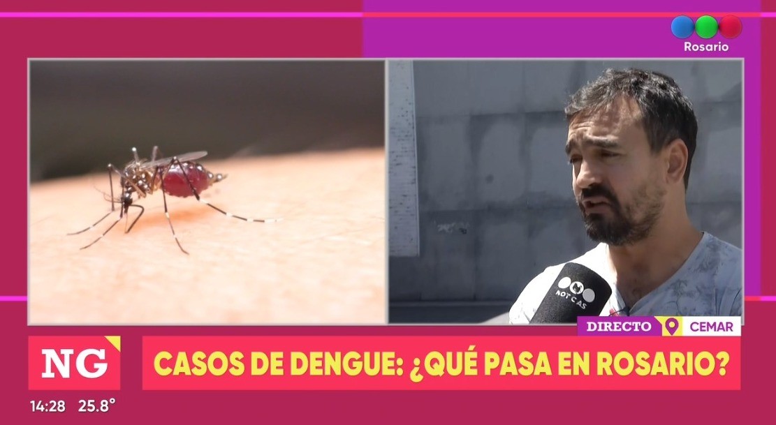 Dengue: “Estamos viendo un incremento de casos y la mayoría son importados” | Rosario y la región