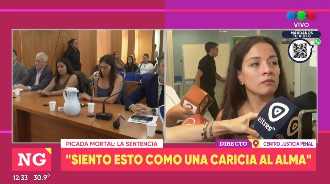 Picada mortal: condenaron a 12 años de prisión a los acusados de matar a David y Valentino Pizzorno | Rosario y la región