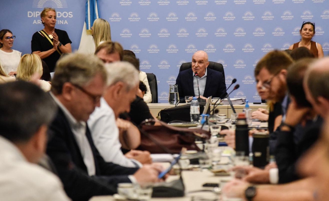 El Congreso empieza a discutir la ley ómnibus: para Espert, los bloques apoyarán "con modificaciones" (1) | Política y Economía