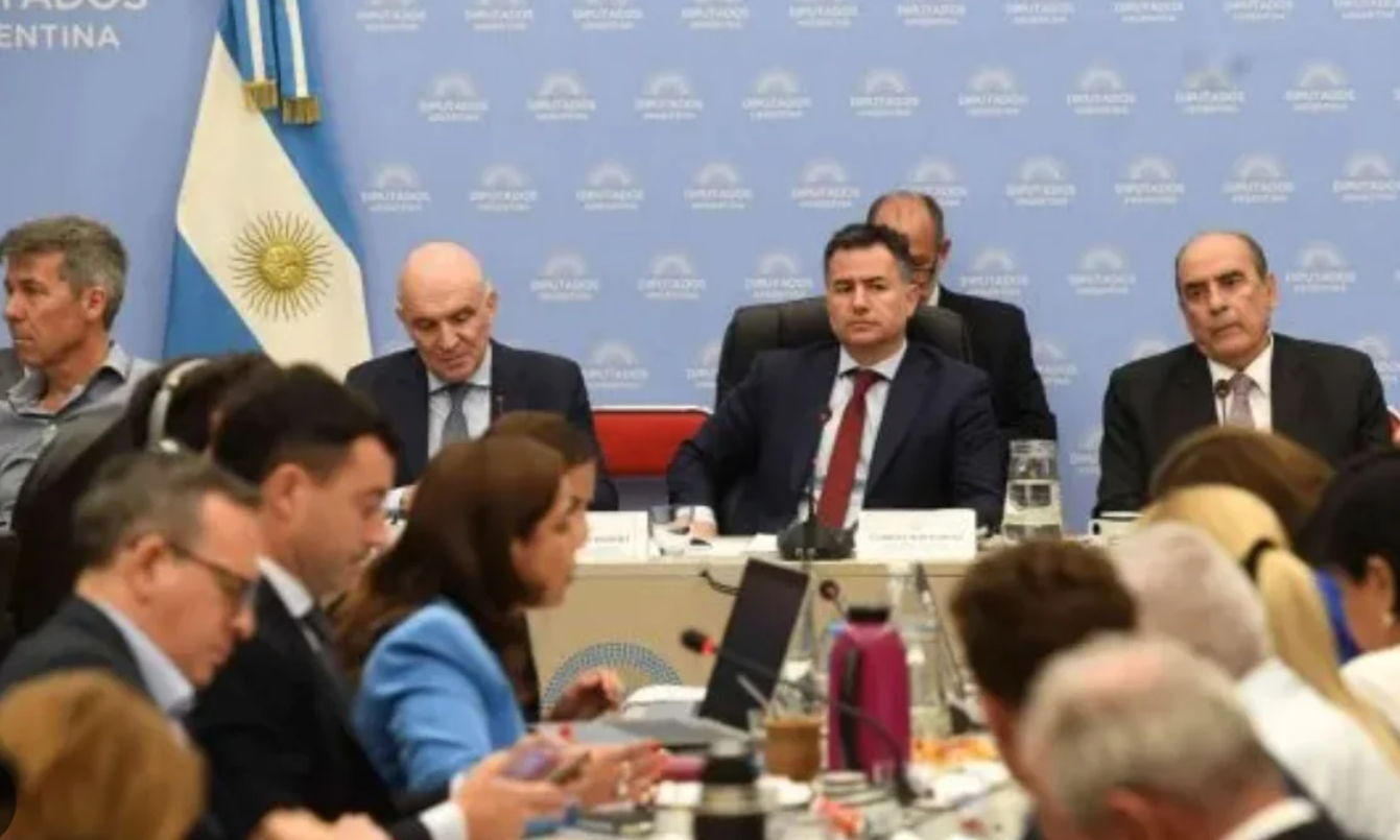 Para salvar la Ley Ómnibus, el oficialismo espera un guiño de la Rosada a la oposición "amigable" | Política y Economía