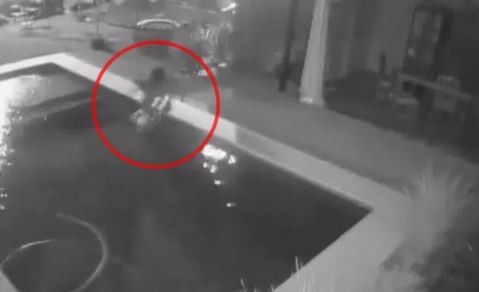 Chaco: un menor ahogó a un perro en una pileta para robar la garrafa de una casa | Información General