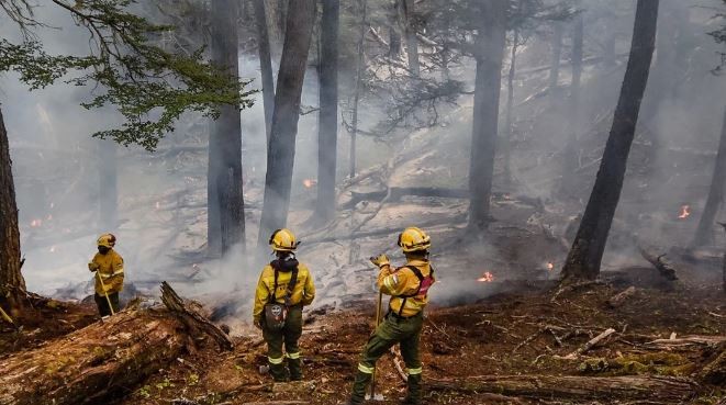 El fuego en el Parque Nacional Los Alerces ya arrasó con 2.300 hectáreas de bosque nativo | Información General