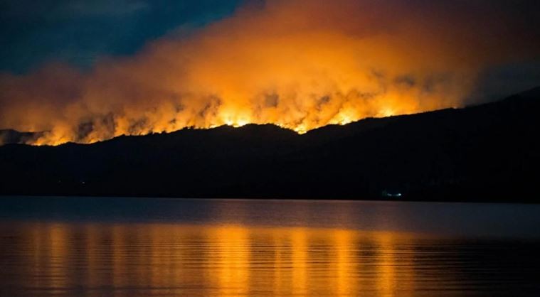 El Gobierno nacional será querellante junto a Chubut en la causa por los incendios en Los Alerces | Información General