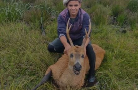 Investigan en Corrientes la cacería de un ciervo de los pantanos, monumento natural | Información General