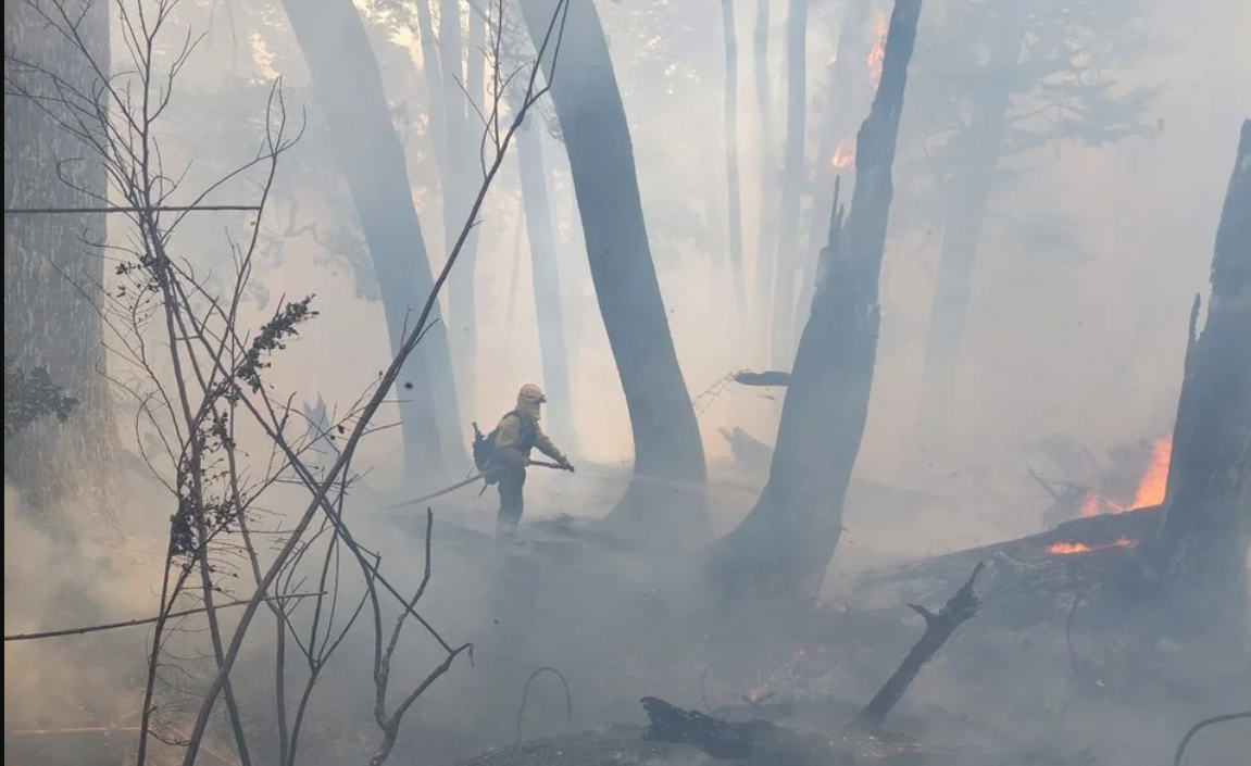 Buscan a los responsables del incendio en Bariloche: apuntan a un fogón que no fue apagado | Información General