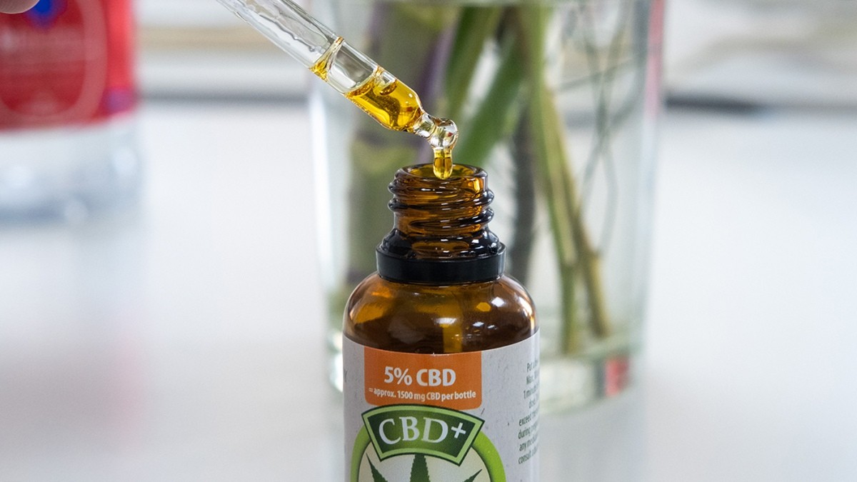 Epilepsia refractaria: un estudio comprobó los beneficios del tratamiento con cannabis medicinal | Información General