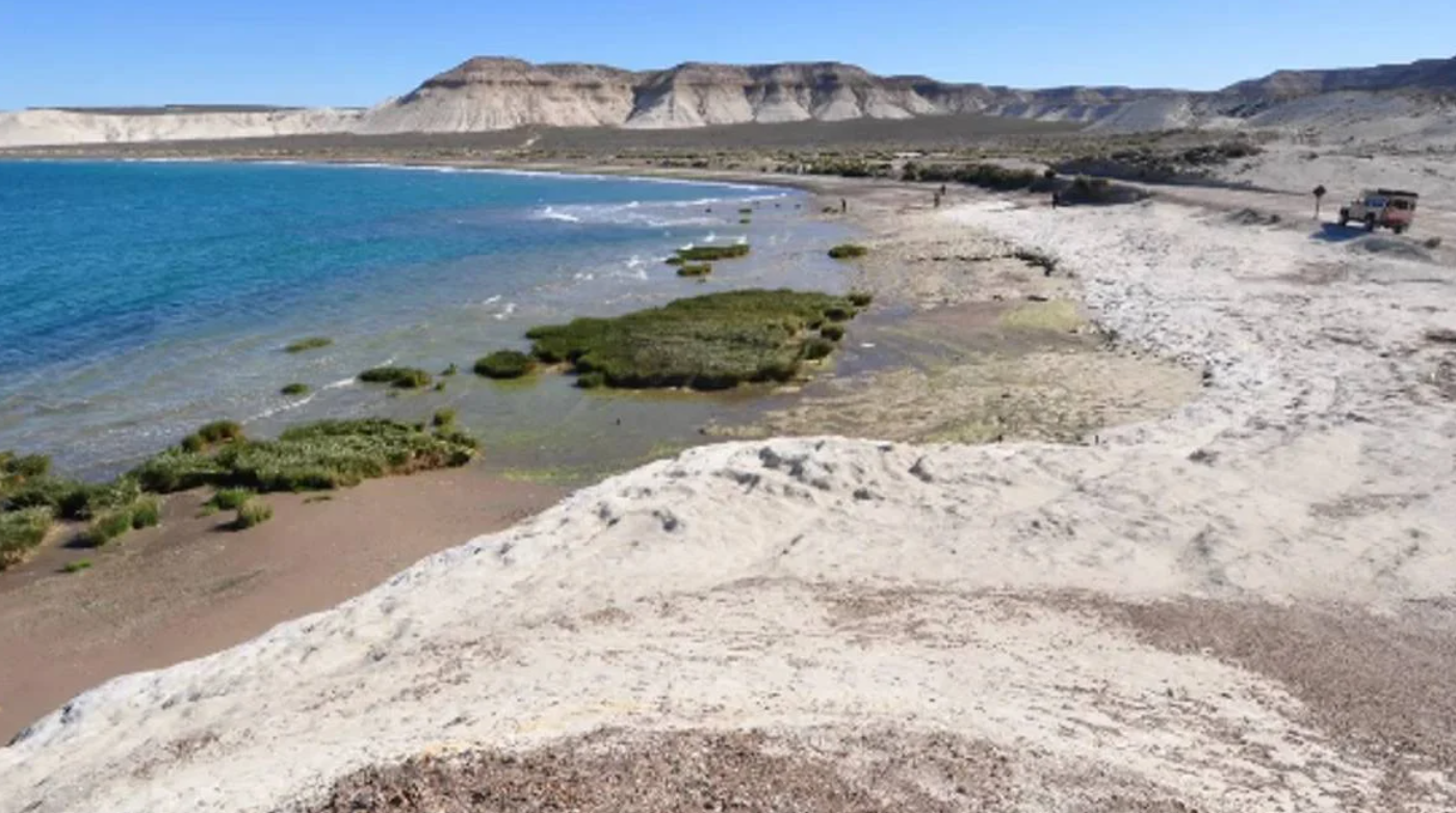 Disfrutaban un día de playa y hallaron restos óseos en bolsas | Información General