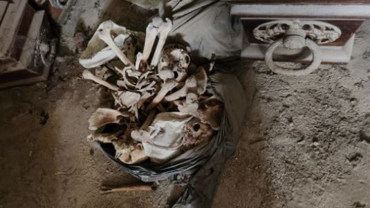 Denuncian el hallazgo de otras 2.000 bolsas con restos humanos en el cementerio de La Plata | Información General