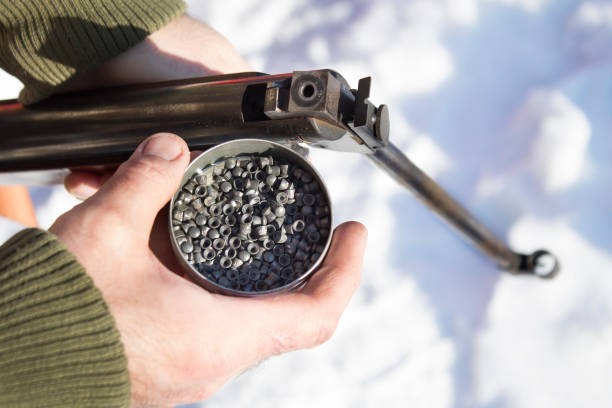 Manipulaba un rifle de aire comprimido, hirió en la cabeza a su hija de un año y fue detenido | Información General