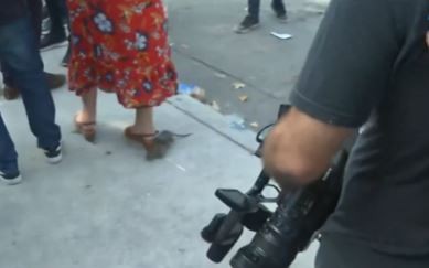 El insólito momento que vivió Jorge Macri durante una nota: apareció una rata y espantó a todos | Política y Economía