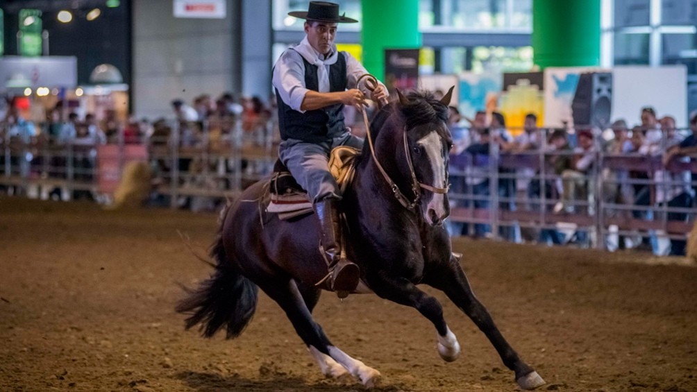 Un grupo de activistas veganos interrumpió una exhibición de caballos en La Rural | Información General