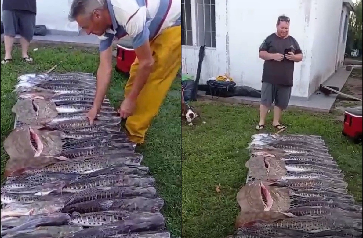 Dos cordobeses deberán pagar una multa ilegal por violar la ley de pesca de Santa Fe | Información General