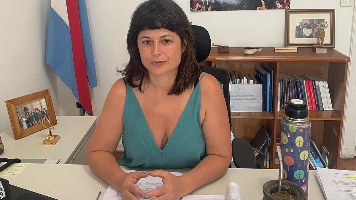 La picante reacción de una diputada kirchnerista en la bicameral de DNU: "¡Déjense de hacer los pelotudos!" | Política y Economía