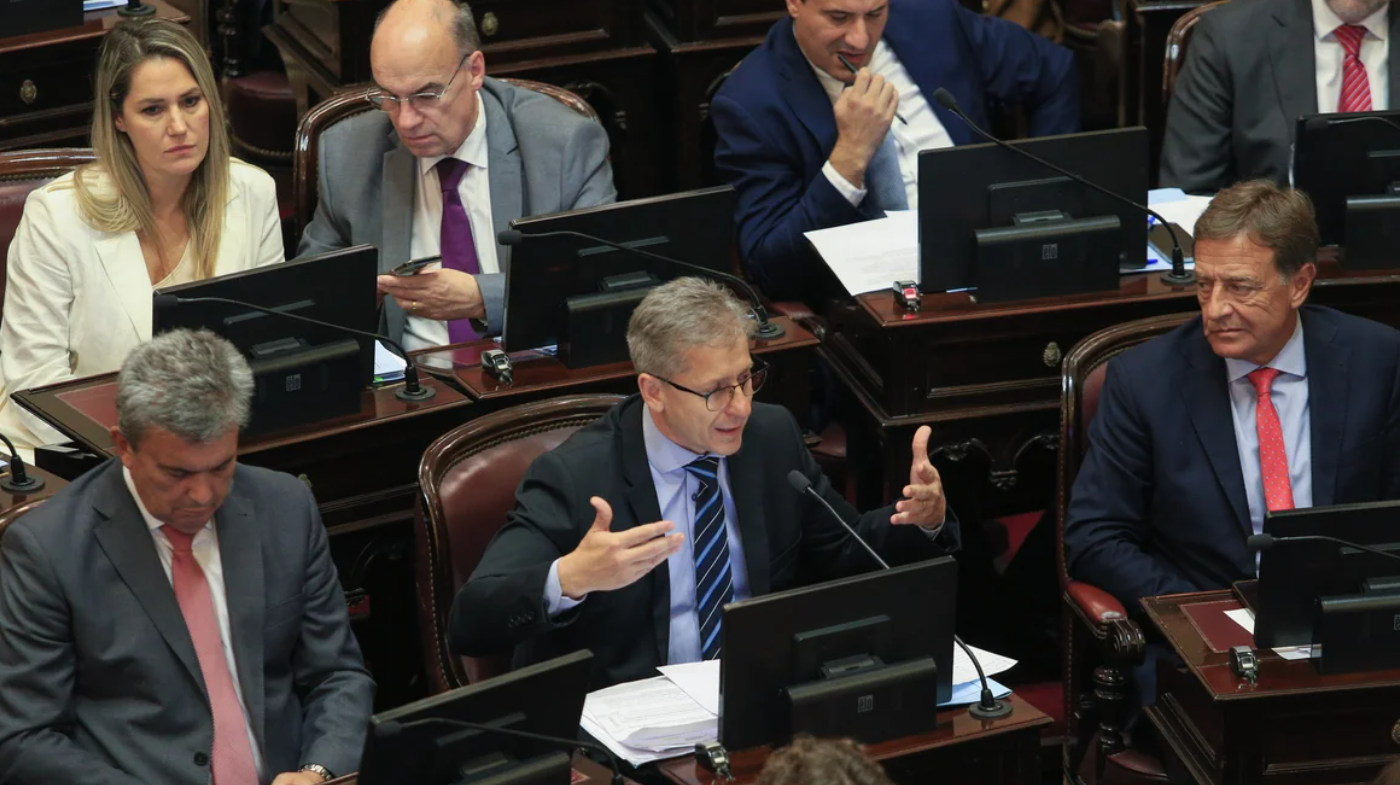 "Si lo hubieran mandado por separado...": la justificación de senadores radicales tras el rechazo al DNU | Política y Economía