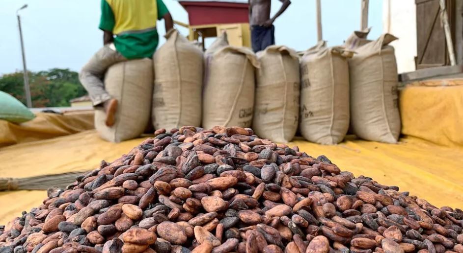 Escasez de cacao: El precio del chocolate se disparará en todo el mundo | Política y Economía