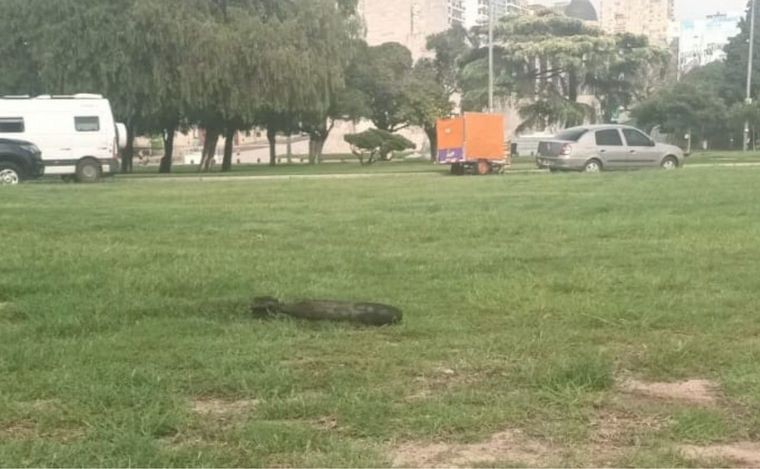 Rosario: Encuentran un artefacto explosivo en el río, frente al Monumento a la Bandera | Rosario y la región
