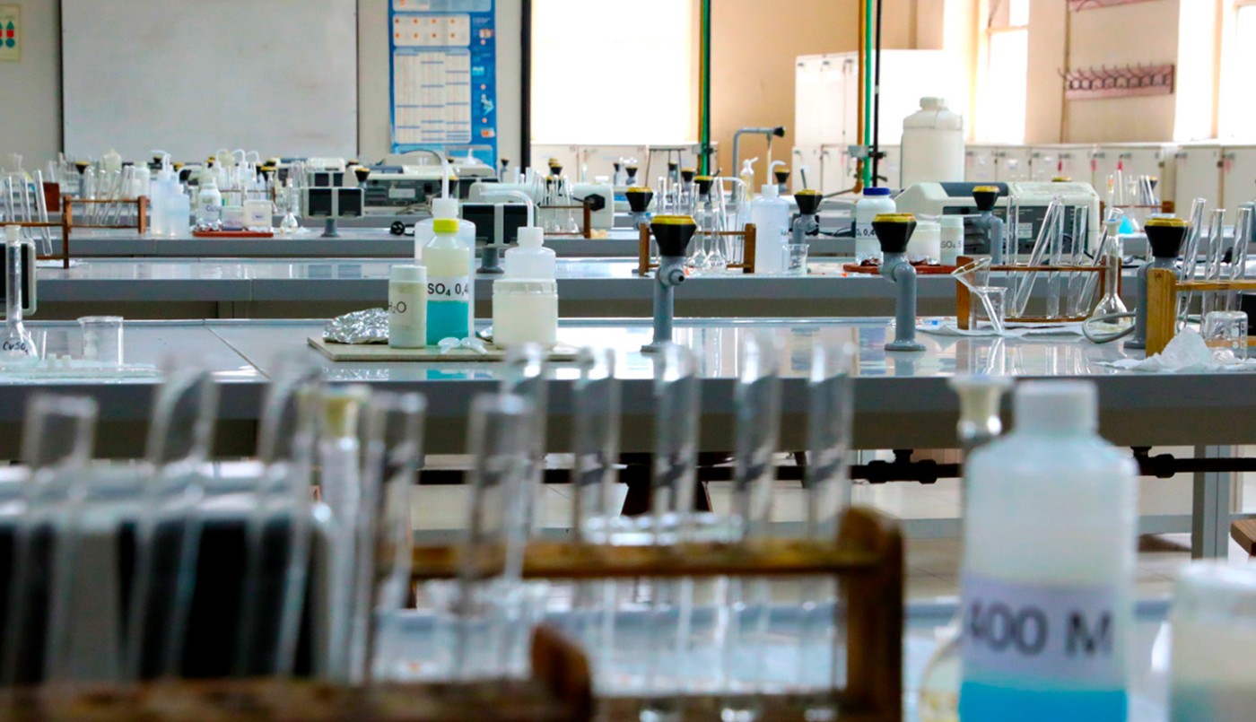 Investigadores de la UBA lograron que bacterias produjeran nanocelulosa | Información General