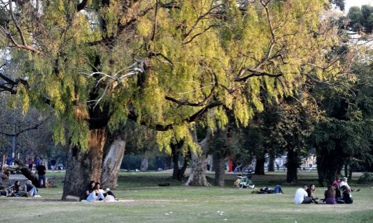 Una joven murió luego de desvanecerse mientras trotaba en La Plata: “Fue desesperante” | Información General